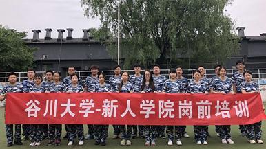 底部图
