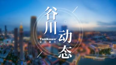 底部图