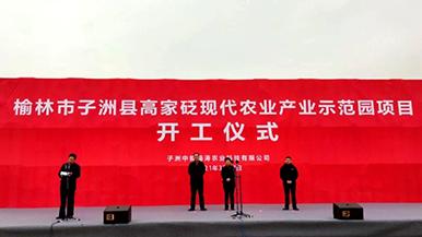 底部图