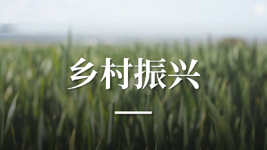 底部图