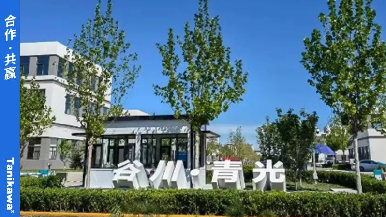 底部图