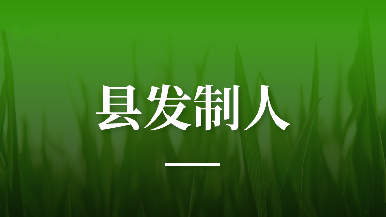 底部图