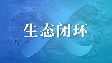 底部图