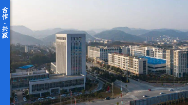底部图